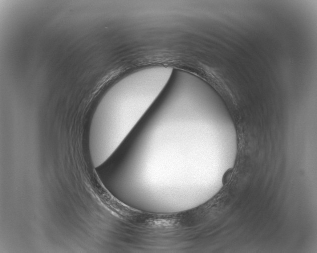X0000051250163200506170851