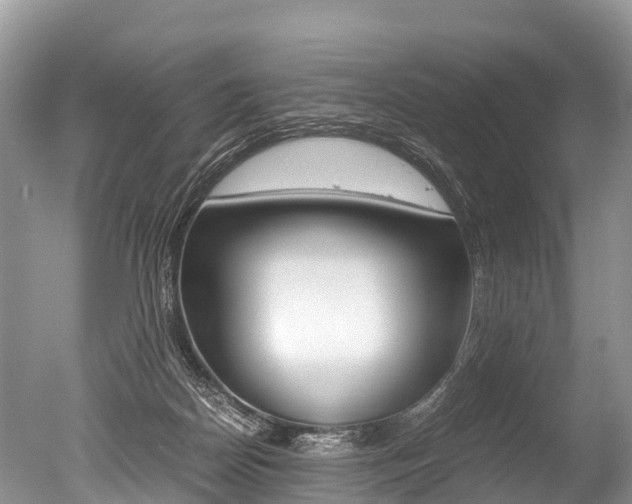 X0000051250170200506170851