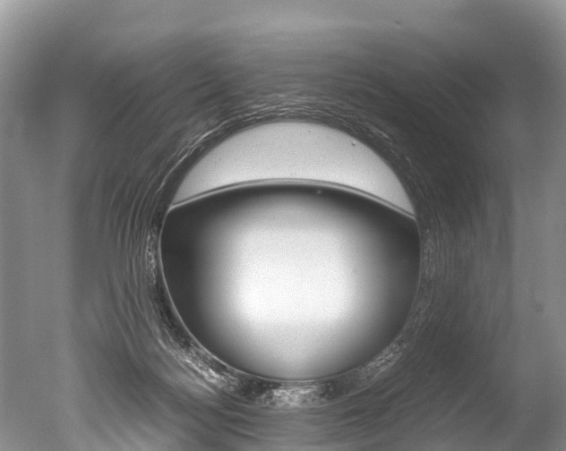 X0000051250172200506170851