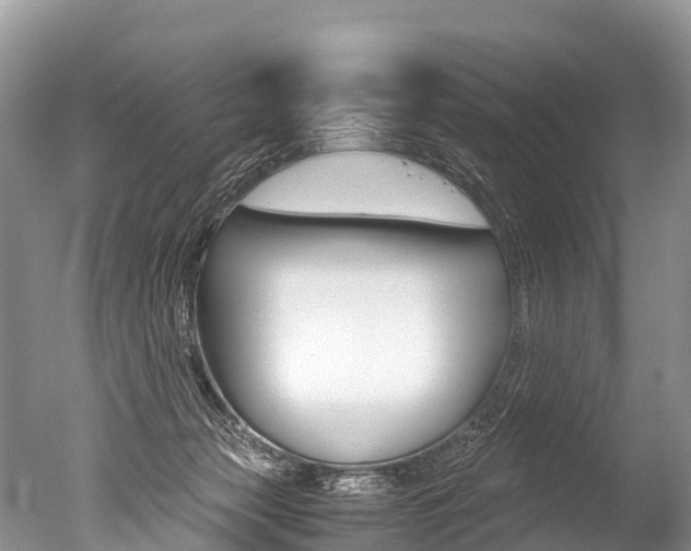 X0000051250173200506170851