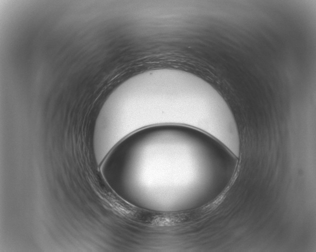 X0000051250174200506170851