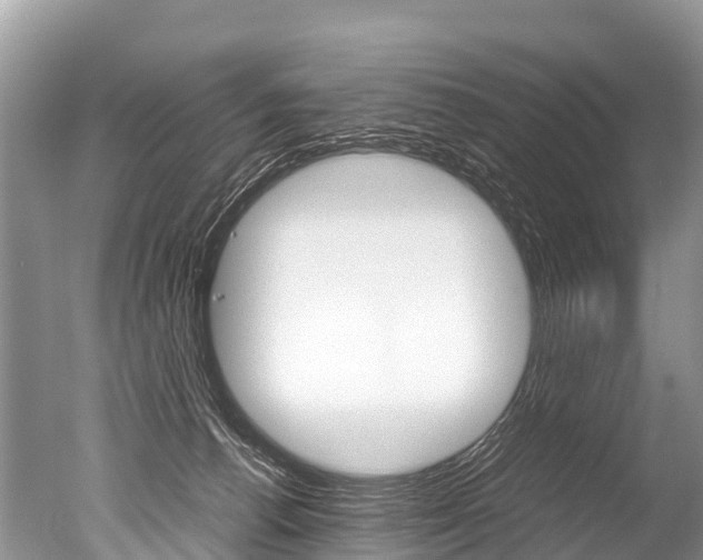 X0000051250176200506170851