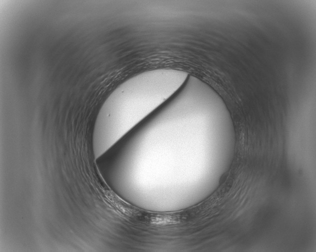X0000051250177200506170851