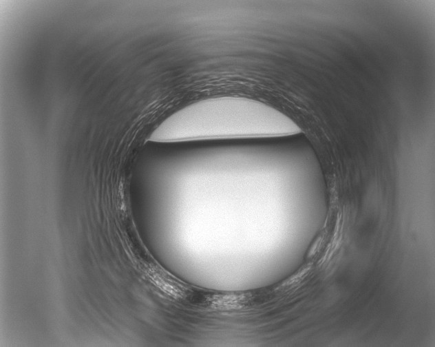 X0000051250182200506170851