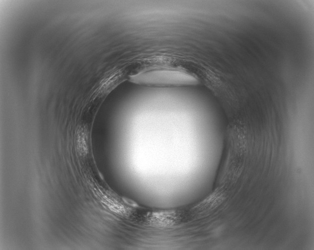 X0000051250188200506170851