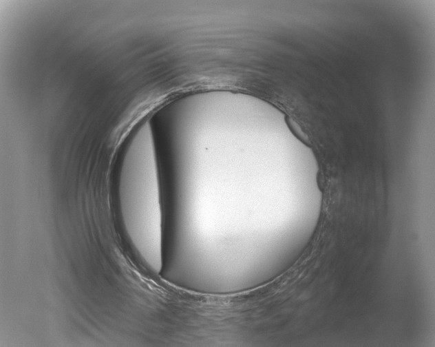 X0000051250194200506170851