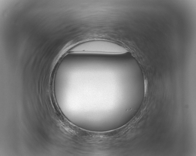 X0000051250195200506170851