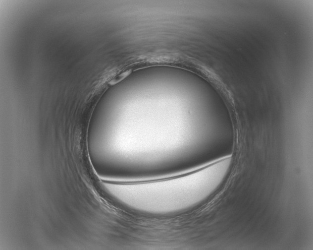 X0000051250201200506170850