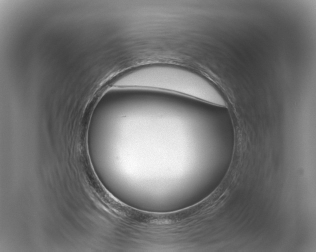 X0000051250203200506170850