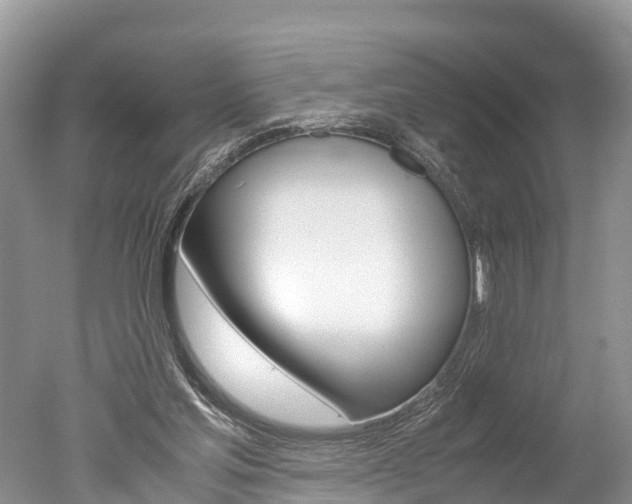 X0000051250205200506170850