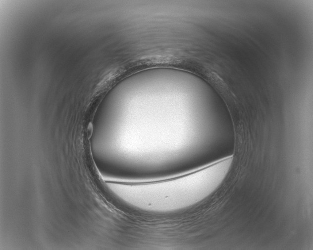 X0000051250207200506170850