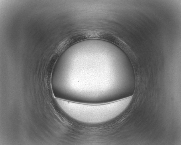 X0000051250209200506170850