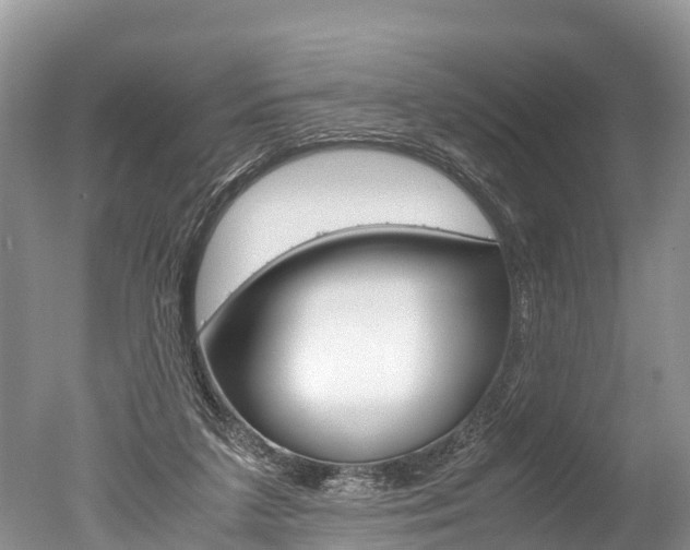 X0000051250211200506170850