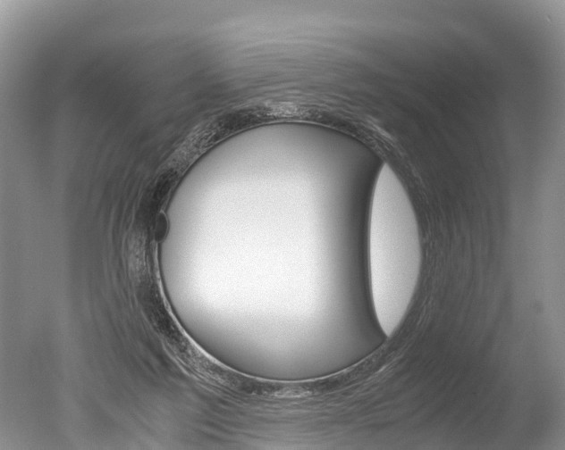 X0000051250213200506170850