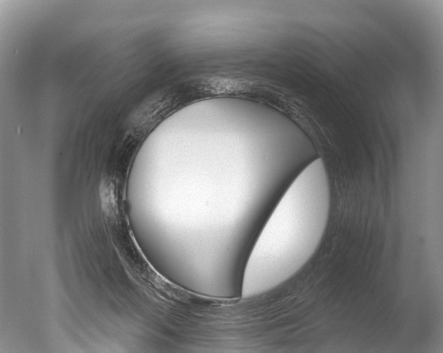 X0000051250214200506170850