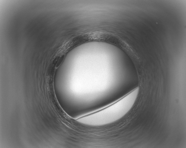 X0000051250217200506170850