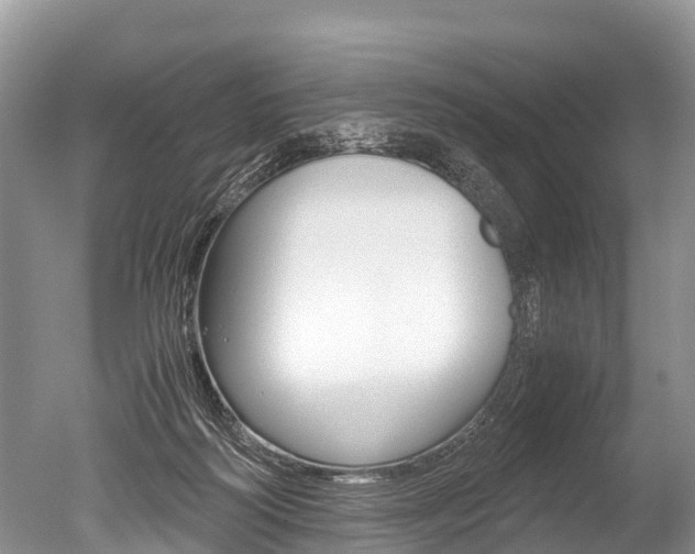 X0000051250218200506170850