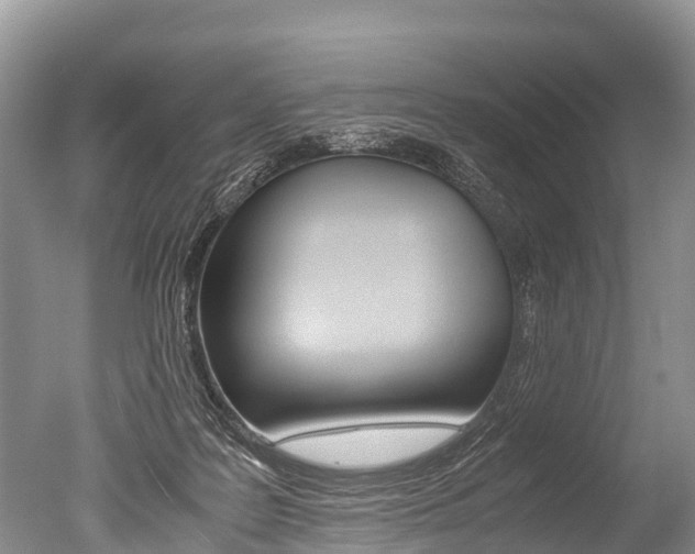 X0000051250219200506170850
