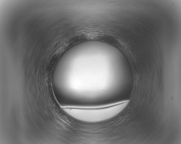 X0000051250221200506170850