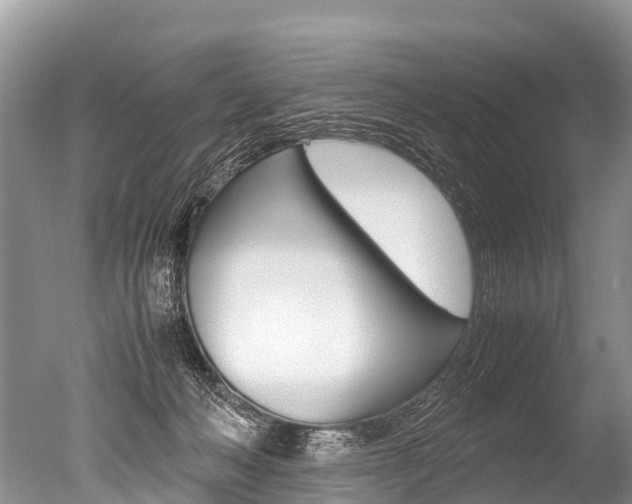 X0000051250222200506170850