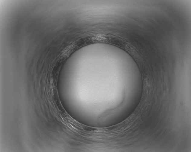 X0000051250223200506170850