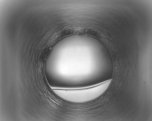 X0000051250225200506170850