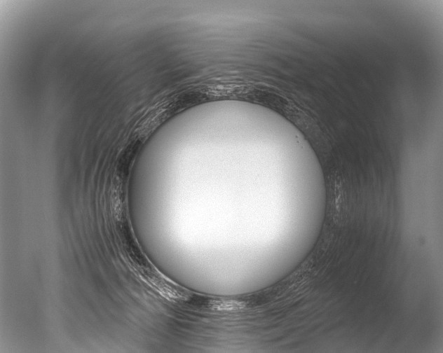 X0000051250226200506170850
