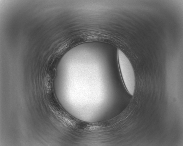 X0000051250228200506170850