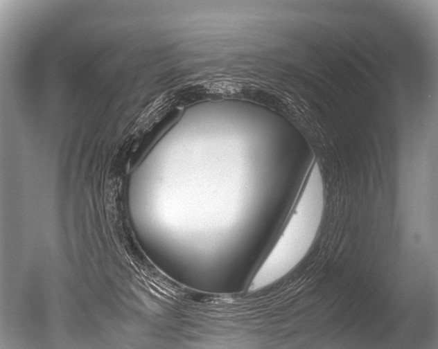 X0000051250229200506170850