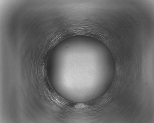 X0000051250231200506170850