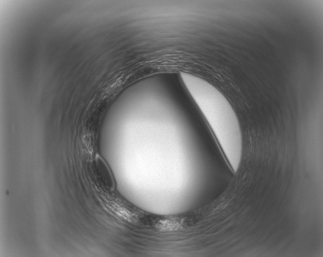 X0000051250232200506170850