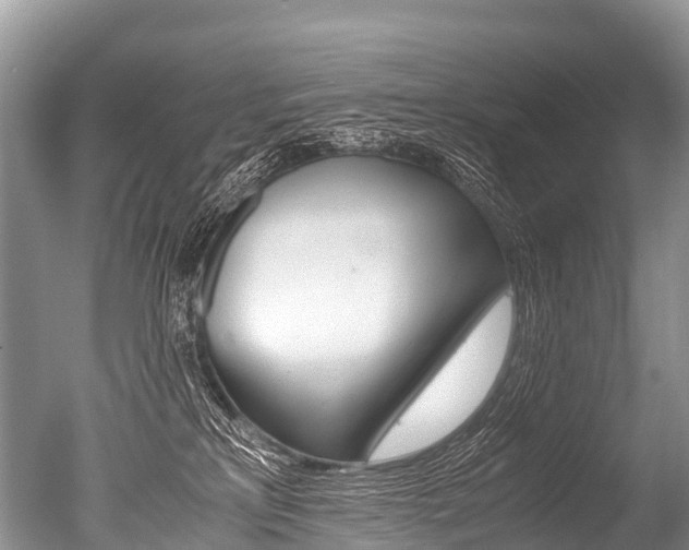 X0000051250233200506170850
