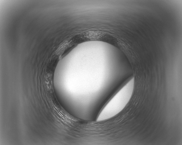 X0000051250237200506170850