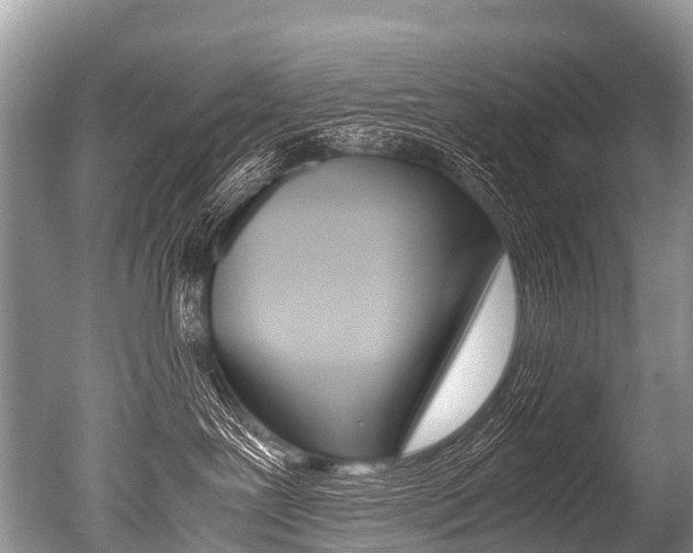 X0000051250239200506170850