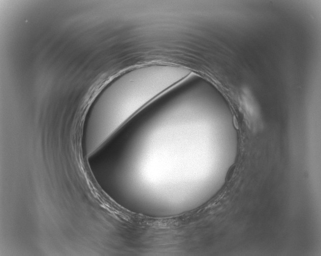 X0000051250241200506170849