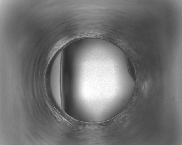 X0000051250242200506170849