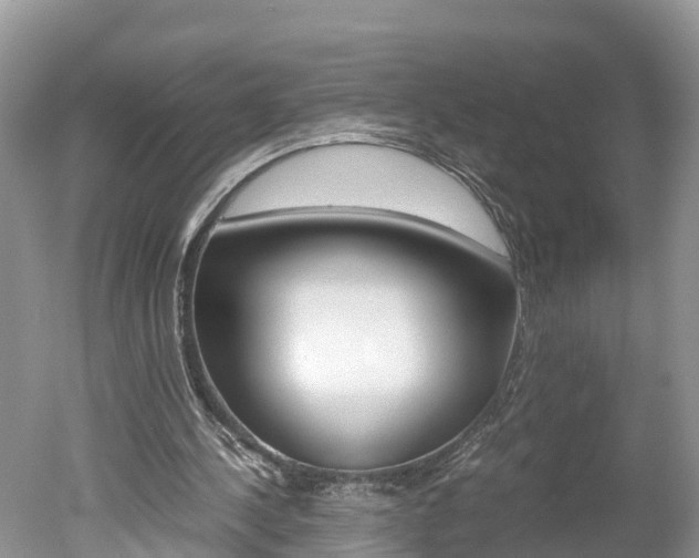 X0000051250244200506170849