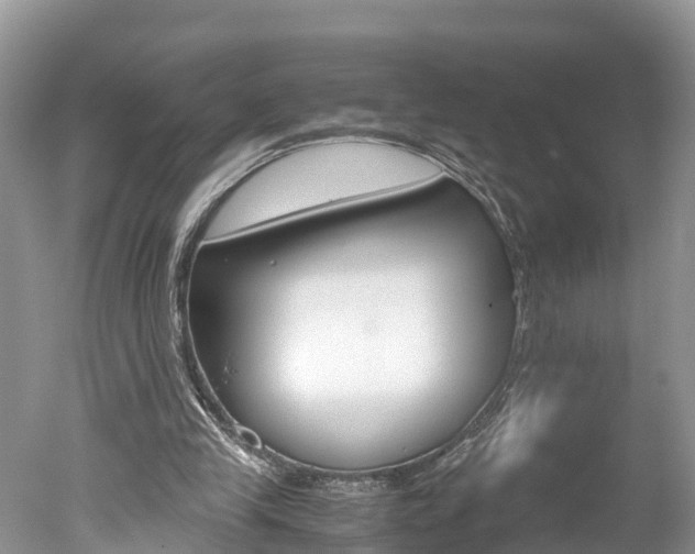 X0000051250245200506170849