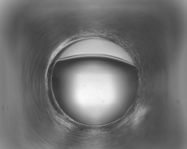 X0000051250246200506170849