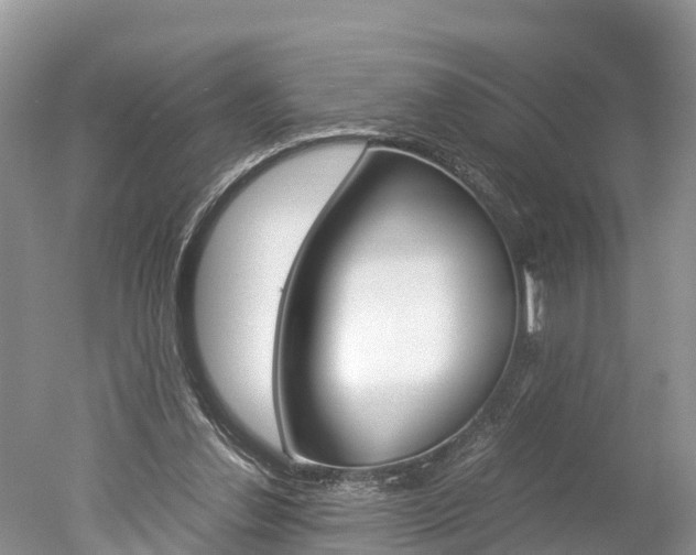 X0000051250252200506170849