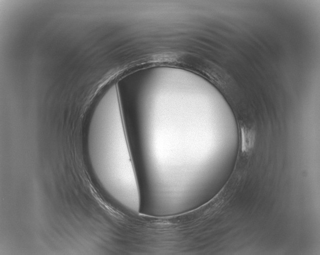 X0000051250253200506170849