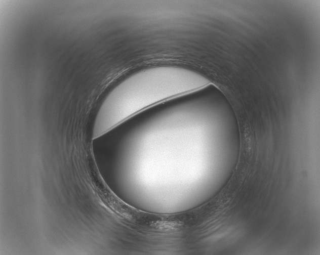 X0000051250255200506170849