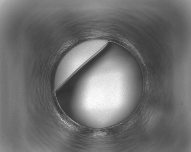 X0000051250257200506170849