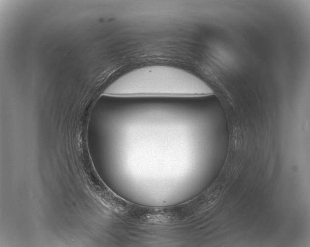X0000051250259200506170849
