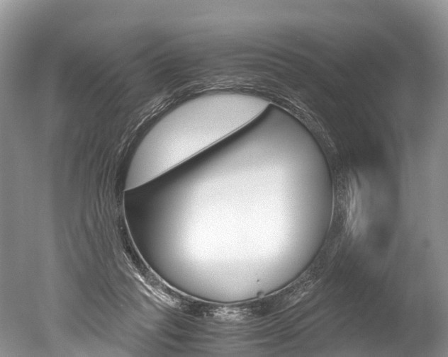 X0000051250261200506170849