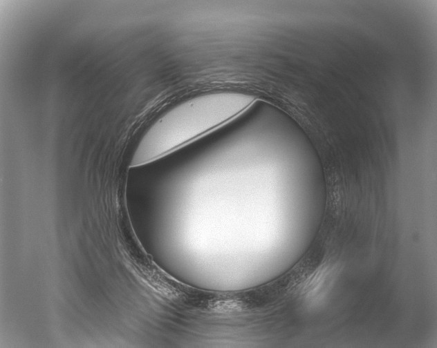 X0000051250262200506170849