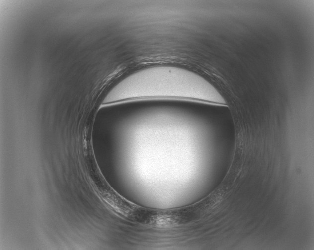 X0000051250264200506170849