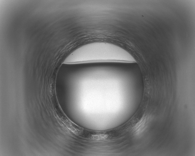 X0000051250266200506170849