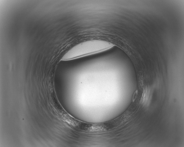 X0000051250270200506170849