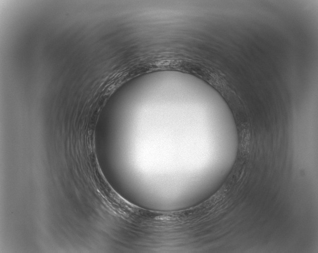X0000051250272200506170849